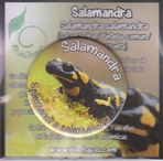 Imán nevera Salamandra