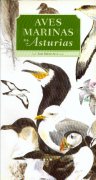 Aves marinas de Asturias