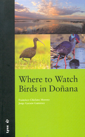 Where to watch birds in Doñana