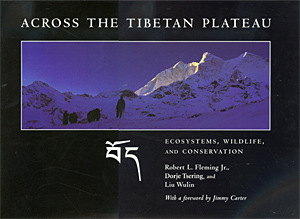 Across the Tibetan plateau