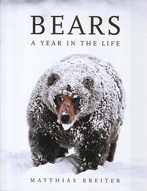Bears. A year in the life