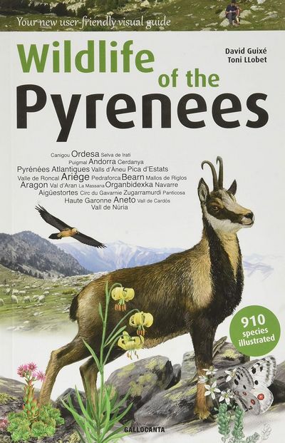 Wildlife Of The Pyrenees