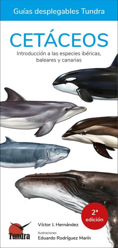 Cetáceos. Introducción a las especies ibéricas, baleares y canarias