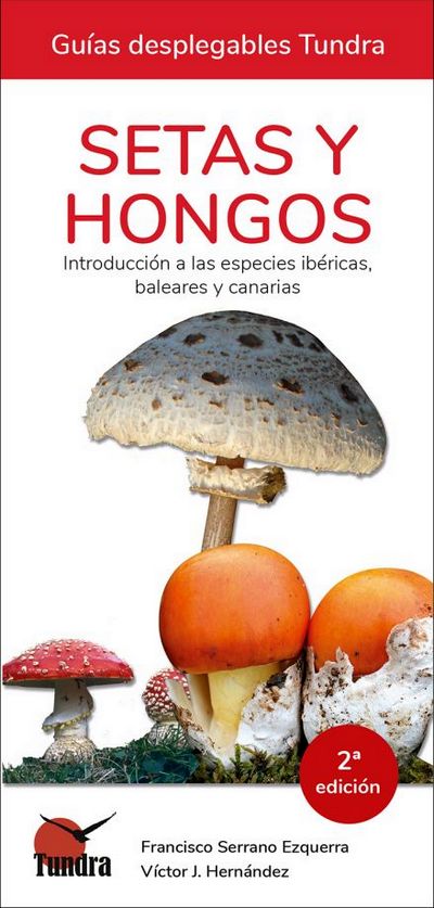 Setas y hongos. Introducción a las especies ibéricas, baleares y canarias