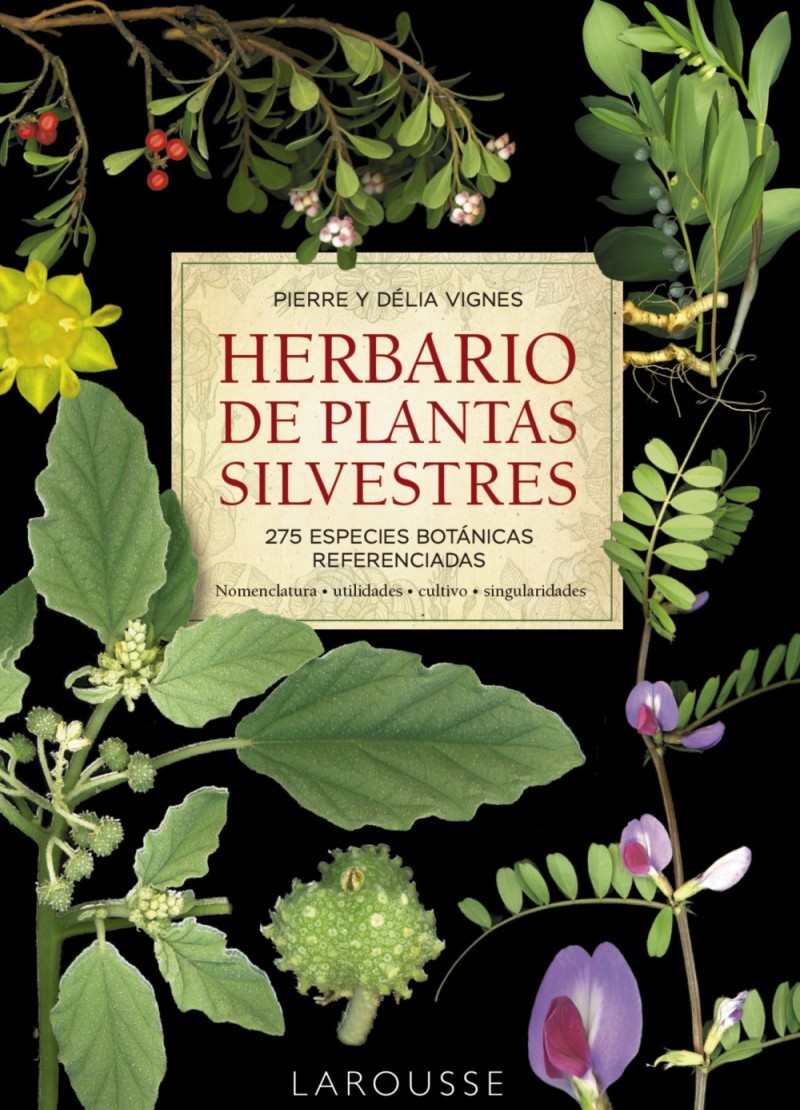 Herbario de plantas silvestres. 275 Especies botánicas referenciadas