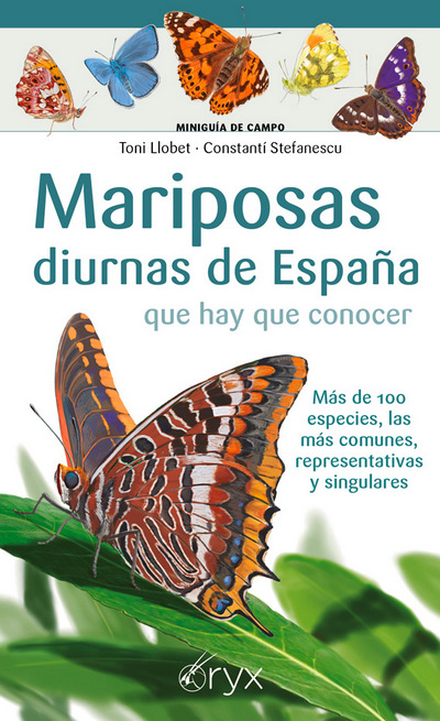 Mariposas diurnas de España que hay que conocer. Más de 100 especies, las más comunes, representativas y singulares