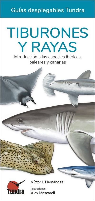 Tiburones y rayas. Introducción a las especies ibéricas, baleares y canarias