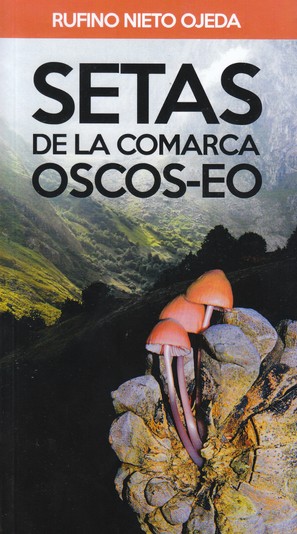 Setas de la comarca Oscos-Eo