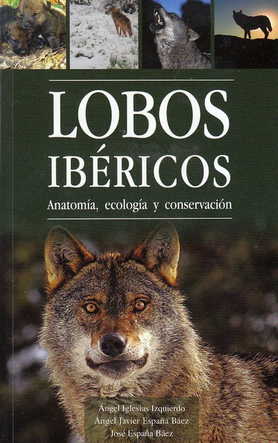 Lobos Ibéricos. Anatomía, ecología y conservación