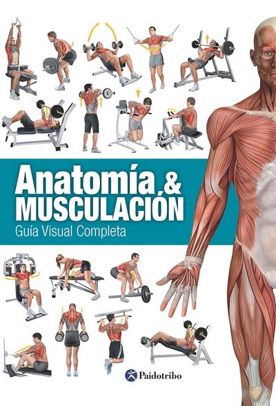 Anatomía & musculación . Guía visual completa