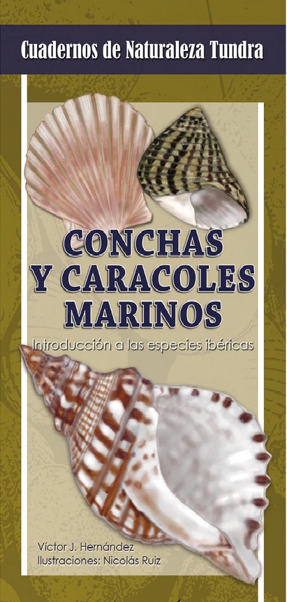 Conchas y caracoles marinos. Introducción a las especies ibéricas