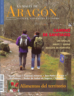 La Magia de Aragón nº9. Camino de Santiago