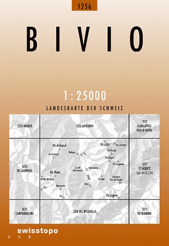 1256 Bivio 1256 Bivio