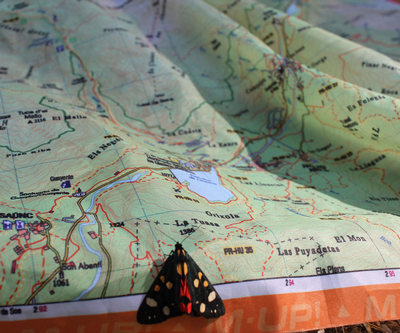 Mapa de tela Parque Natural de Montserrat 1:10.000