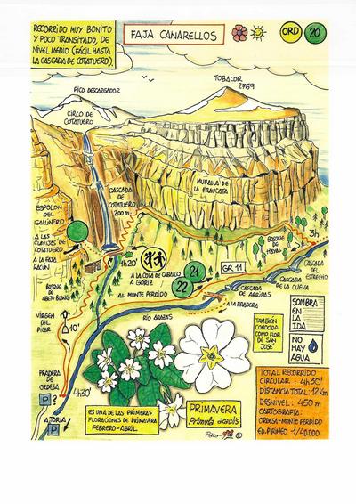 Lámina Faja Canarellos (A3)