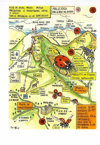 Lámina Maliciosa. Por la bola del mundo (A4)