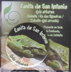 Imán nevera Rana Imán nevera Rana