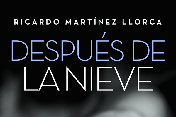 Entrevista a Ricardo Martínez Llorca sobre su novela 'Después de la nieve', finalista del Premio Desnivel de Literatura