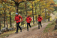 Correr por Guadarrama con Juanjo Alonso