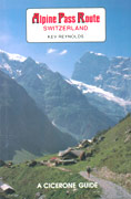 The Alpine pass route. Switzerland