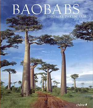 Baobabs