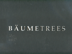 Bäume trees