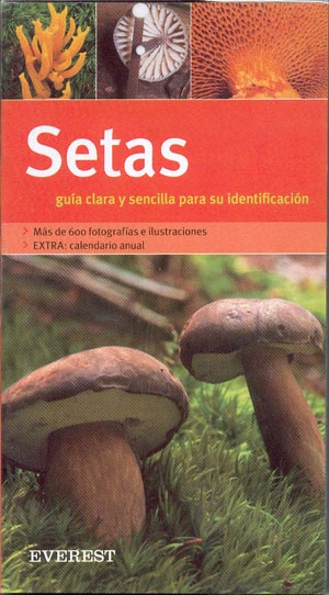 Setas. Guía clara y sencilla para su identificación