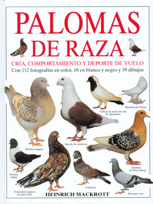 Palomas de raza