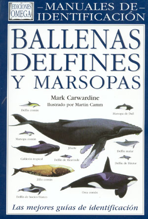 Ballenas, delfines y marsopas