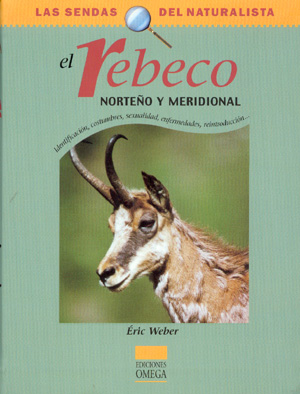 El Rebeco. Norteño y meridional