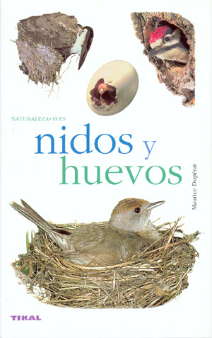 Nidos y huevos