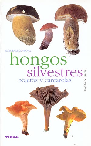 Hongos silvestres