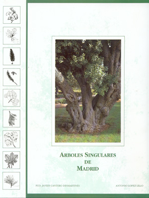 Árboles singulares de Madrid