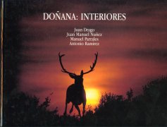 Doñana: interiores