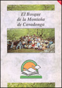 El bosque de la Montaña de Covadonga