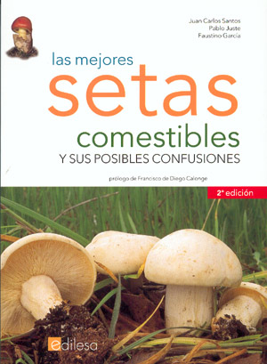 Las mejores setas comestibles y sus posibles confusiones