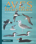 Aves marinas de la Península Ibérica, Baleares y Canarias