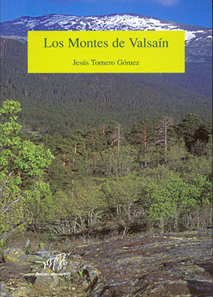 Los montes de Valsaín