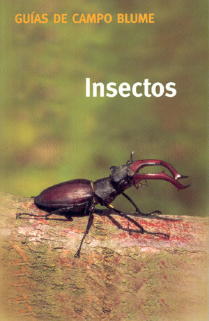 Insectos (Guías de campo Blume)