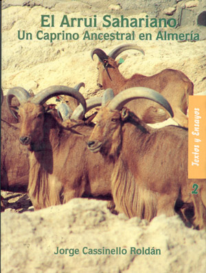 El arrui sahariano. Un caprino ancestral en Almería