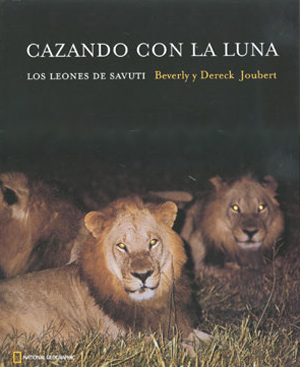 Cazando con la luna. Los leones de Savuti