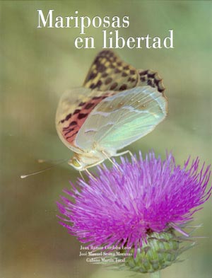 Mariposas en libertad