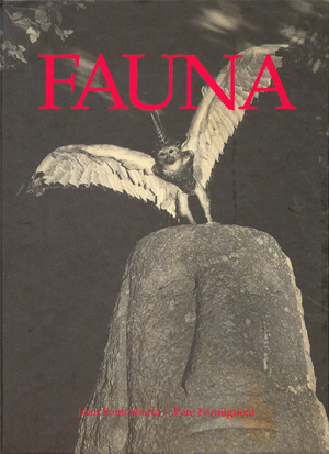 Fauna