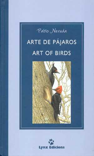 Arte de pájaros
