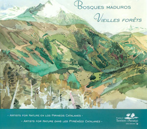 Bosques maduros - Vieilles forêts