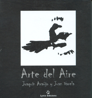 Arte del aire