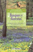 Bosques y florestas. Ecoguía para descubrir la naturaleza