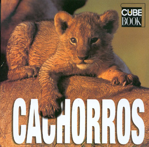 Cachorros