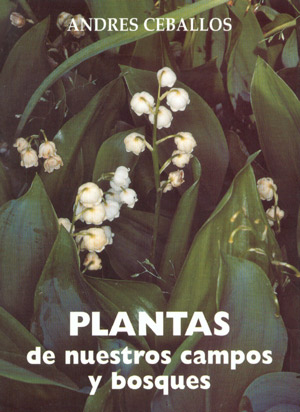 Plantas de nuestros campos y bosques