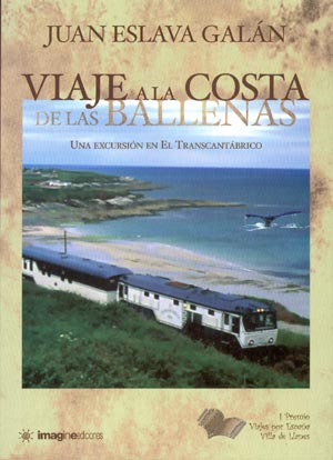 Viaje a la Costa de las Ballenas